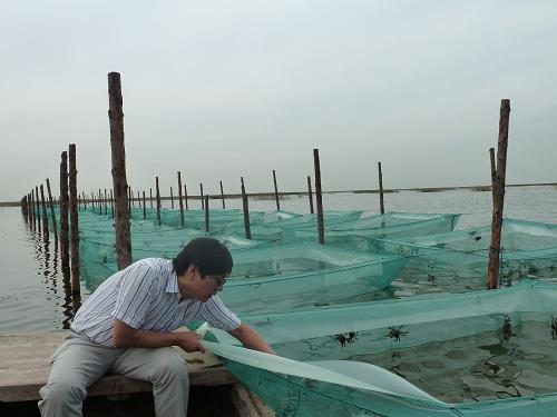 天津北大港水库二期加固开工 竣工后蓄水位达5.5米